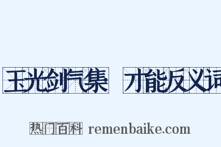 玉光剑气集·才能反义词是什么意思的图片